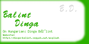 balint dinga business card